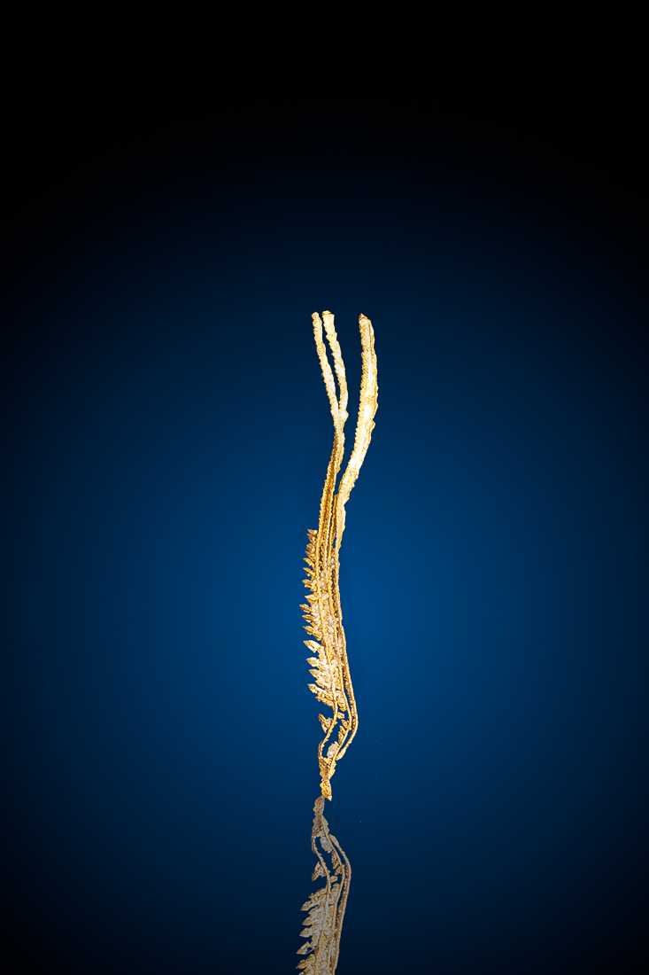 (image for) Three Wire Sawtooth - Sharp Crystalized gold specimen from Round Mountain, NV